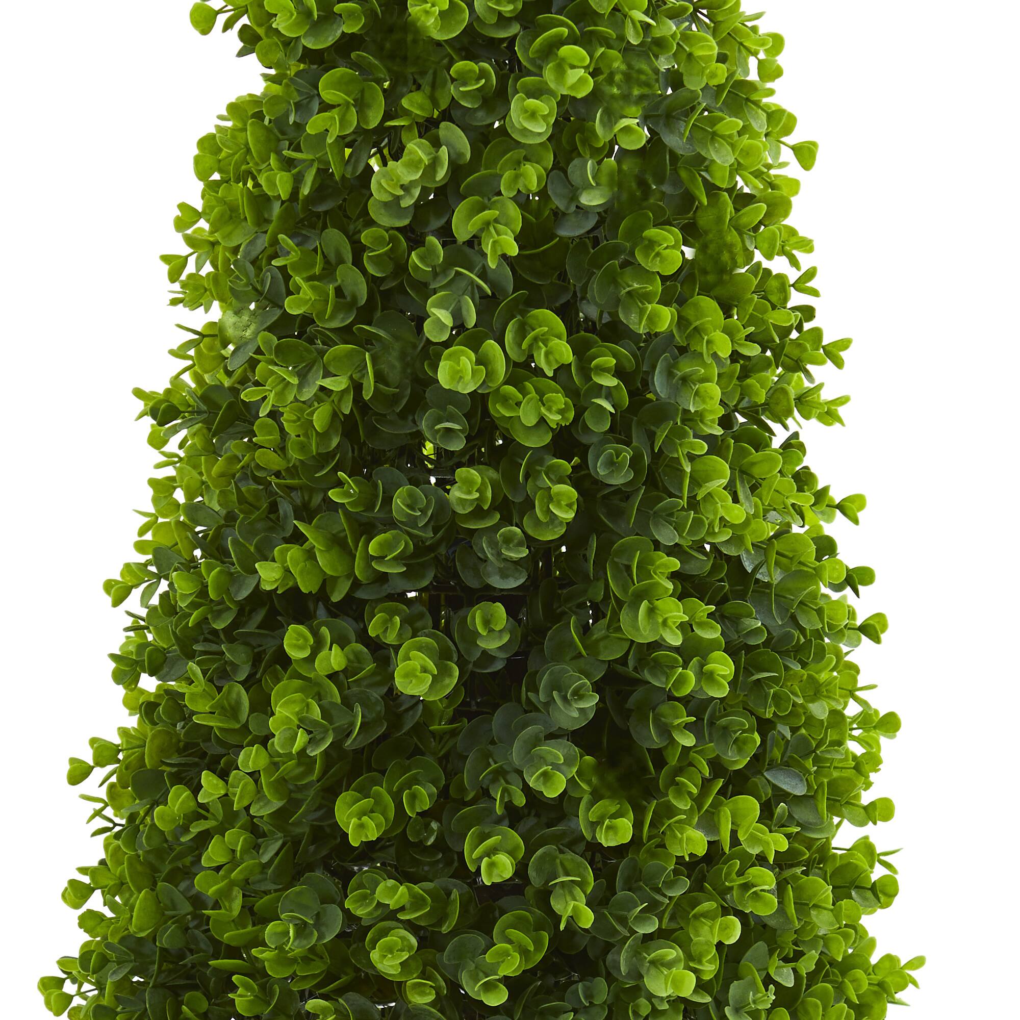 3ft. Potted Eucalyptus Cone Topiary Tree